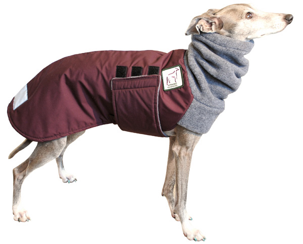 Italian Greyhound Clothes